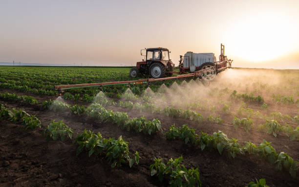 Pest Control Cost in Millers Creek, NC
