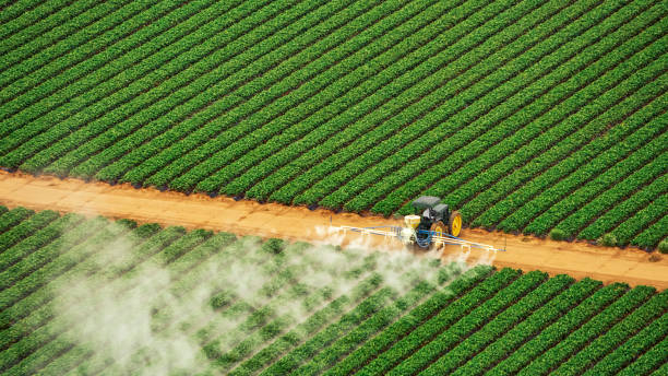 Best Cockroach Control Services  in Millers Creek, NC