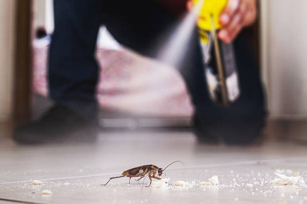 Best Cockroach Control Services  in Millers Creek, NC