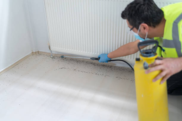 Best Termite Control Services  in Millers Creek, NC